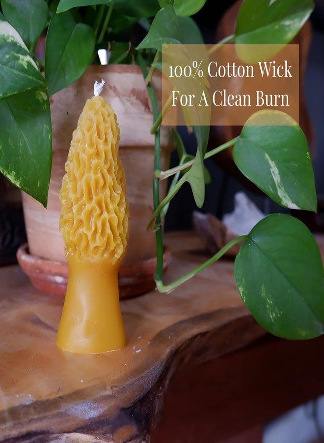 Candlestock Handmade Morel Mushroom Beeswax Candle, 100% Pure USA Beeswax, 1.75 X 5 Inches, Natural Cotton Wick - Image 4